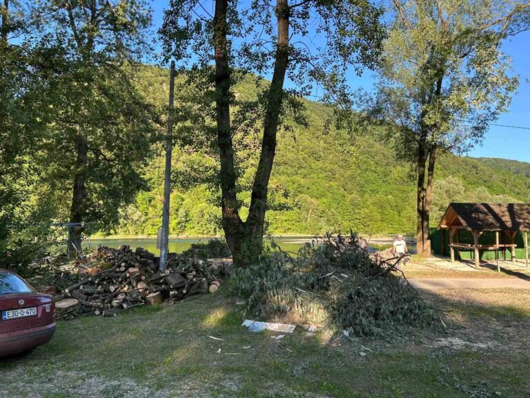 Профит прије свега: На Рајској плажи посјечена стабла без дозволе